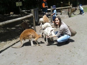 Photo avec un kangourou en Australie
