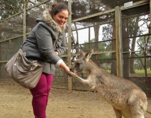 Photo avec un kangourou en Australie