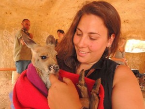 Photo avec un kangourou en Australie