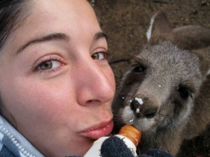Photo avec un kangourou en Australie