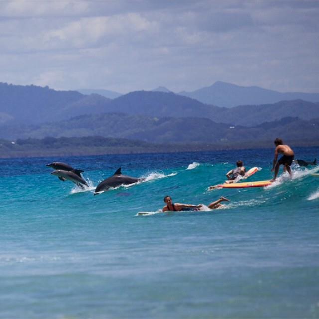 instagram_australie_byronbay