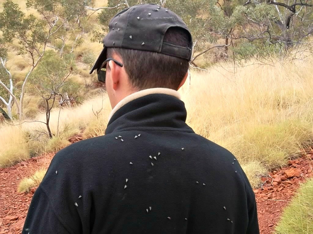 Karijini National Park (3)