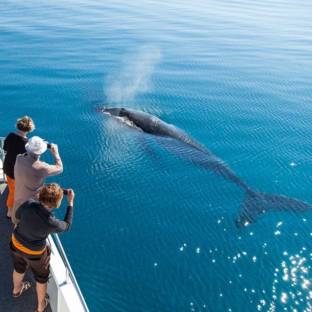 Hervey Bay Australie