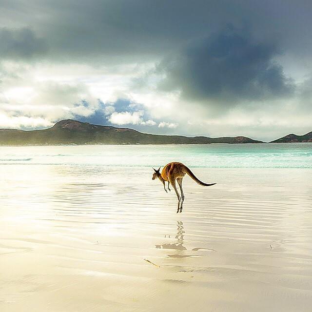 Cape Le Grand National Park Australie