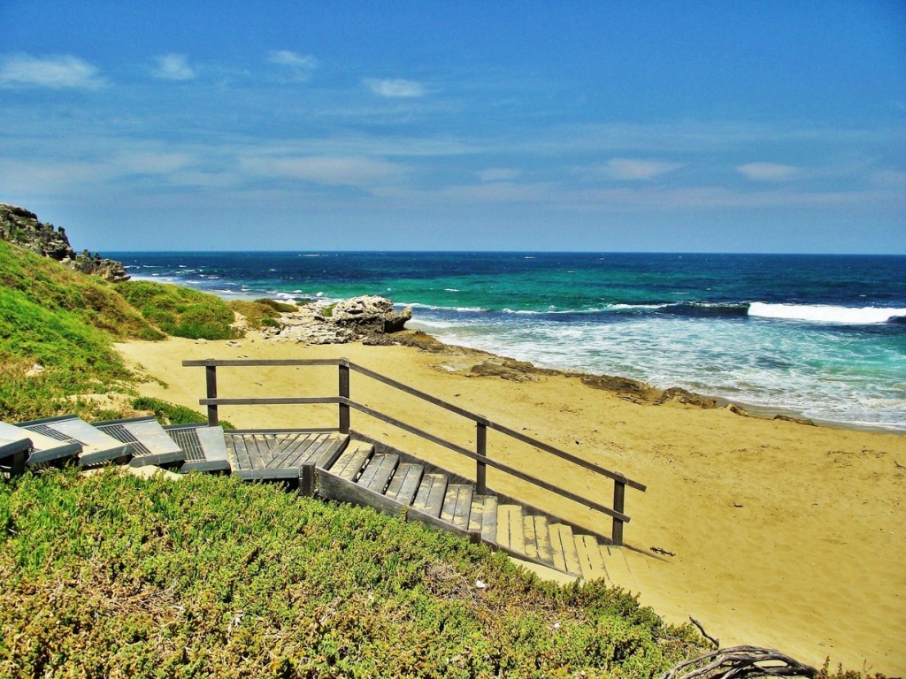 Penguin Island Australie