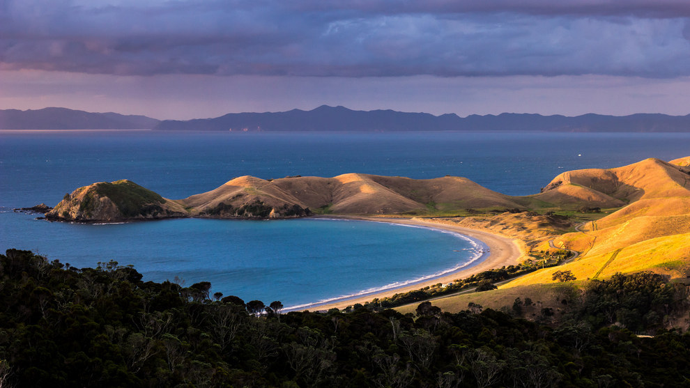 Port Jackson, Coromandel