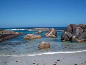 Elephant Cove , plage en Australie - L'Océanie pour les zéros