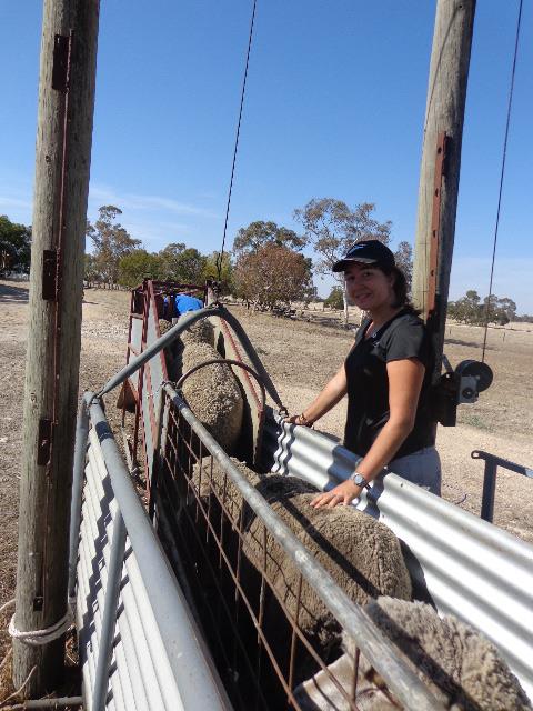 Faire du wwoofing en Australie , Blog Australie , L'Océanie pour les zéros