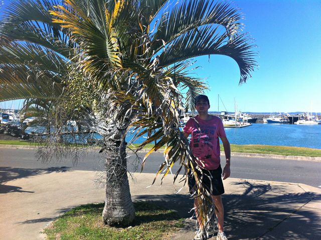 Hervey Bay dans le Queensland en Australie