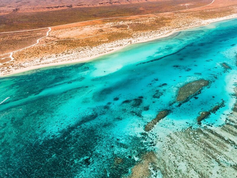 Ningaloo-Reef Exmouth Australie