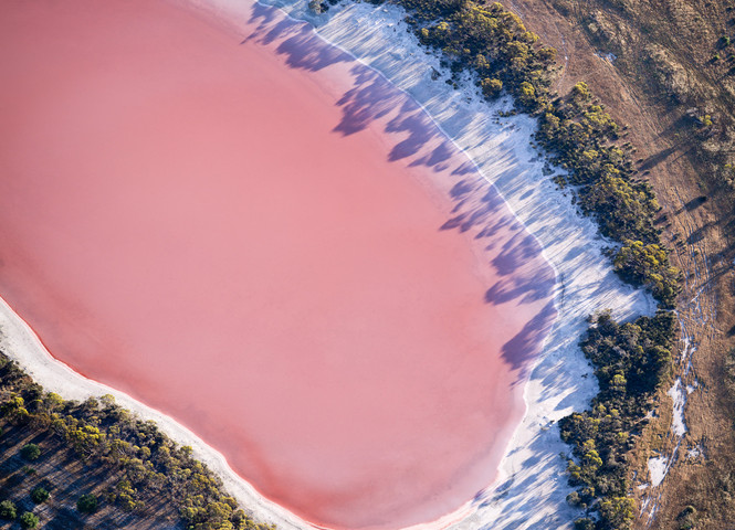 Lac rose Australie