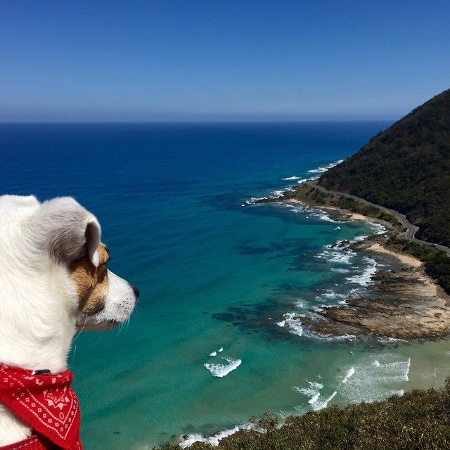 Great Ocean Road Australie