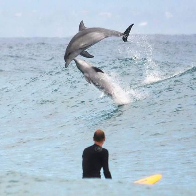 Wategos Beach Australie