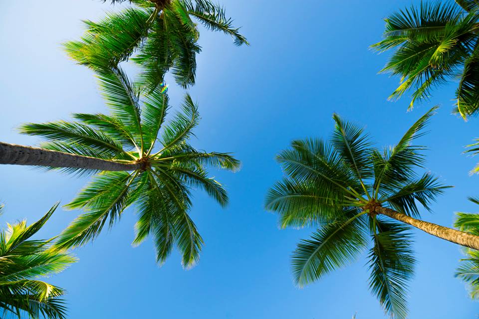 Whitsundays Island Australie