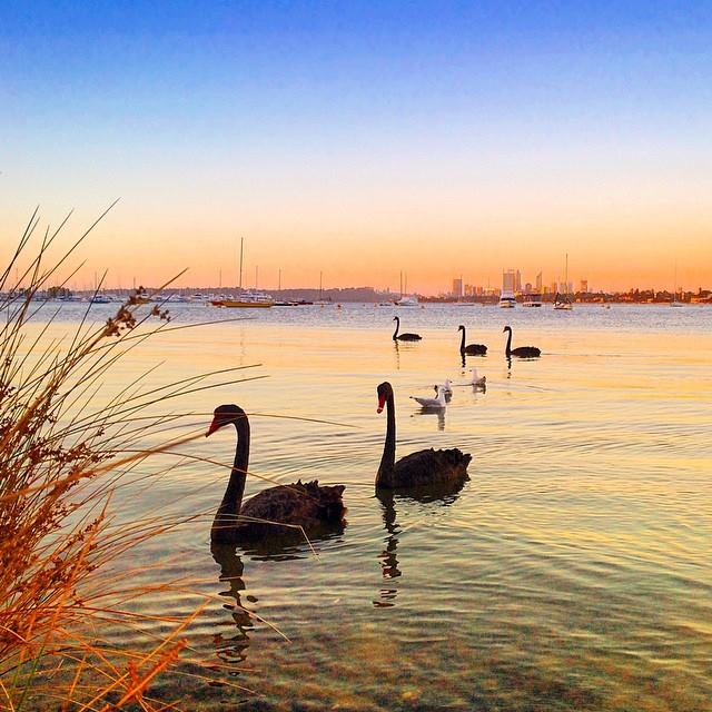 Australie Photo Nature