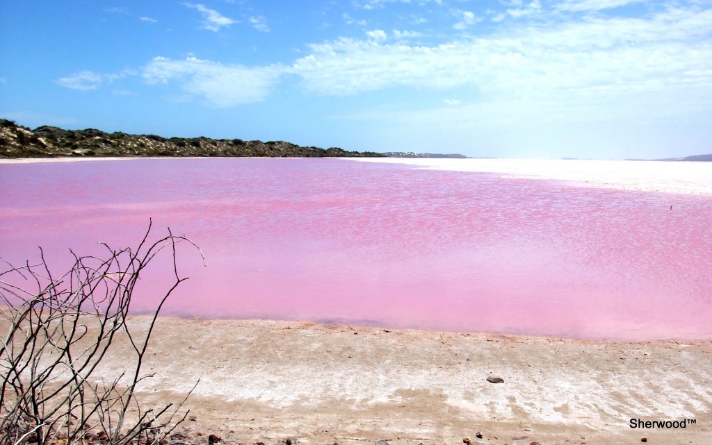 Pink lake Port Gregory
