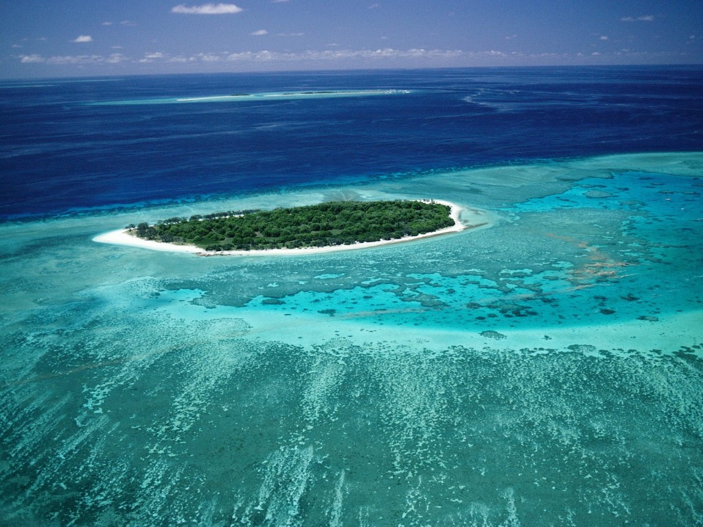 Photo : http://lekiosqueauxcanards.com/