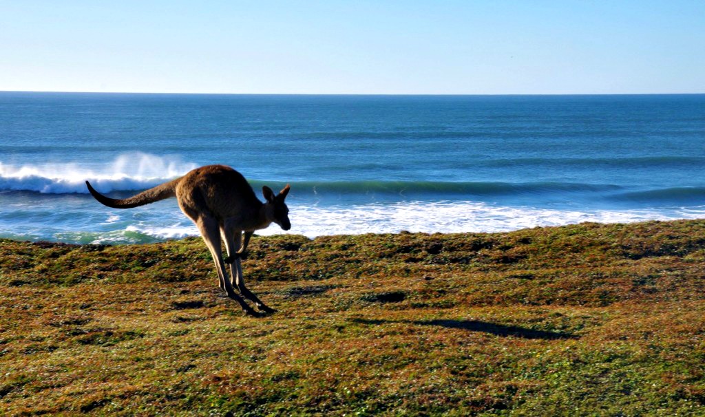 Road trip sur la côte Est avec Marion et Romain  en Australie