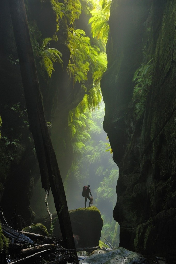 Claustral Canyon dans les Blue Mountains