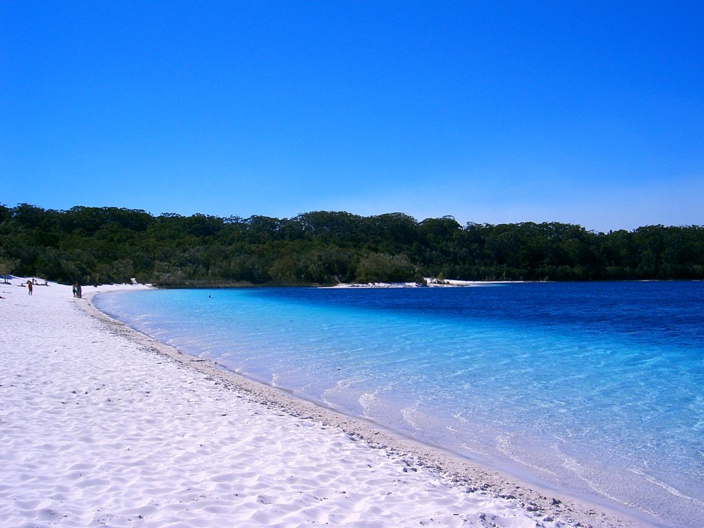 mckenzie lake fraser island