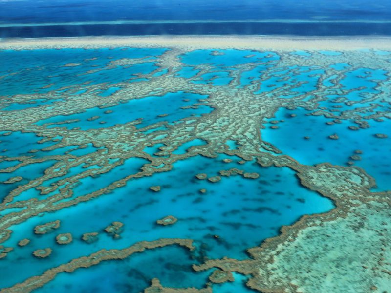 Grande barriere de corail australie