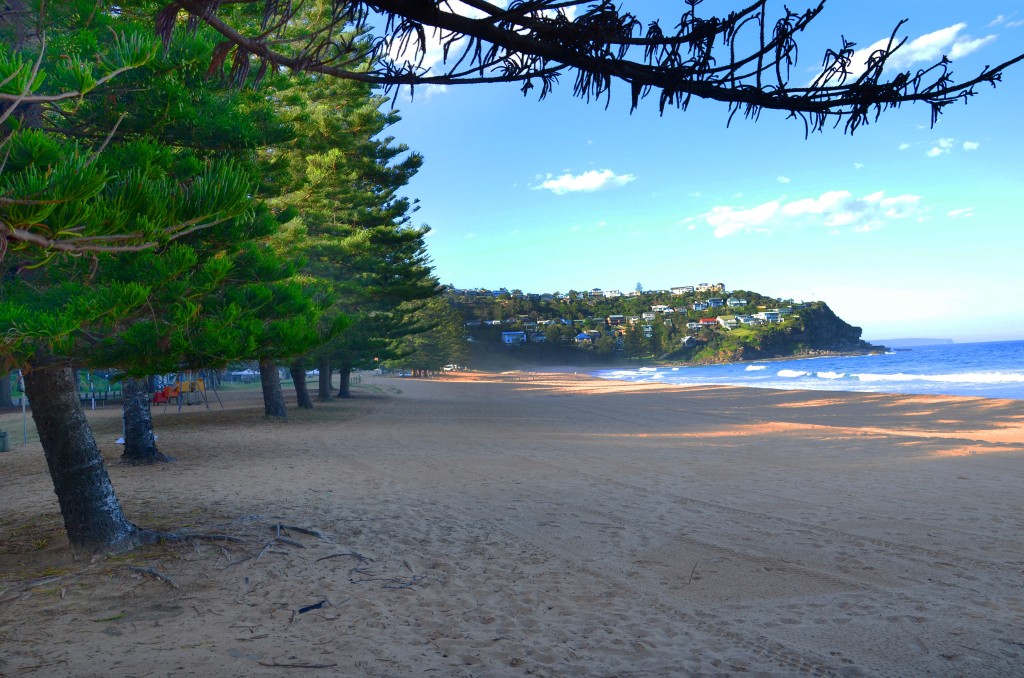 Whale Beach , plage de Sydney