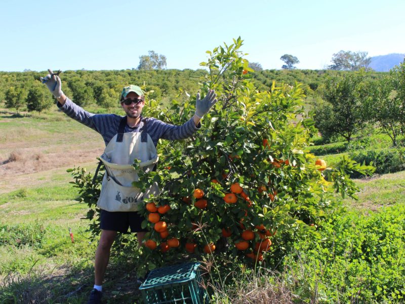 Travailler en ferme en Australie