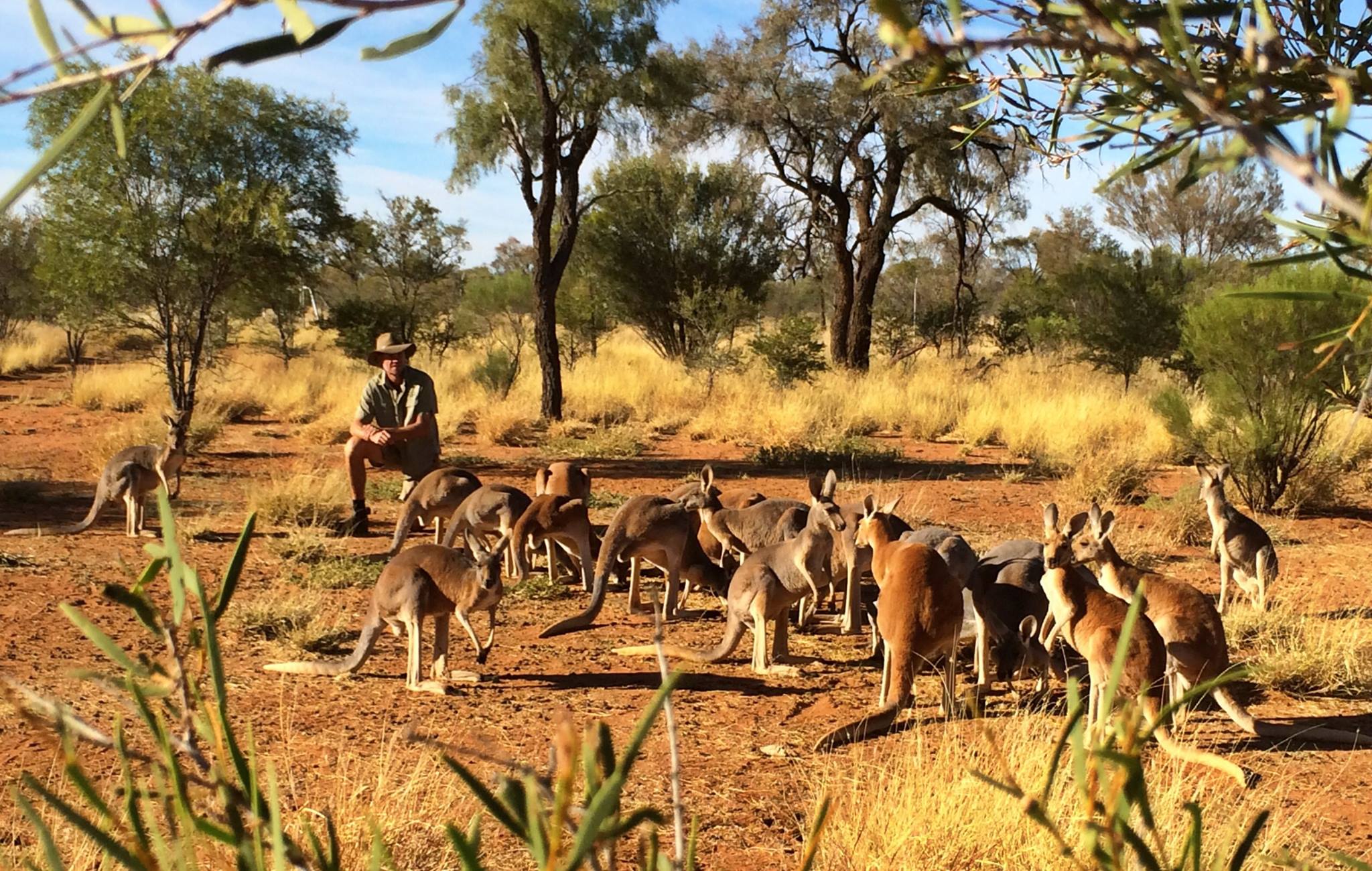 The Kangaroo Sanctuary à Alice Springs, Centre de l’Australie