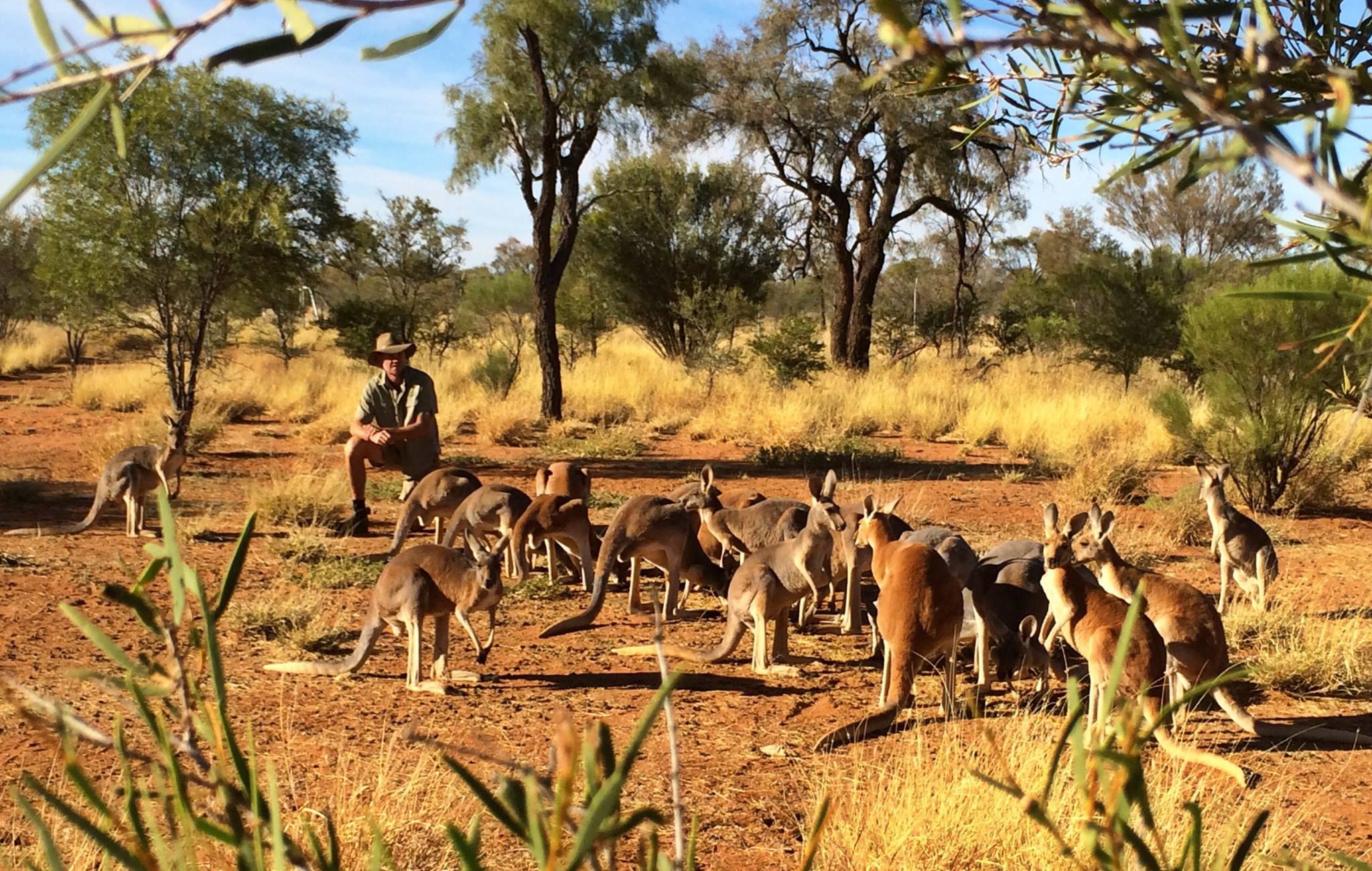 The Kangaroo Sanctuary Alice Spring