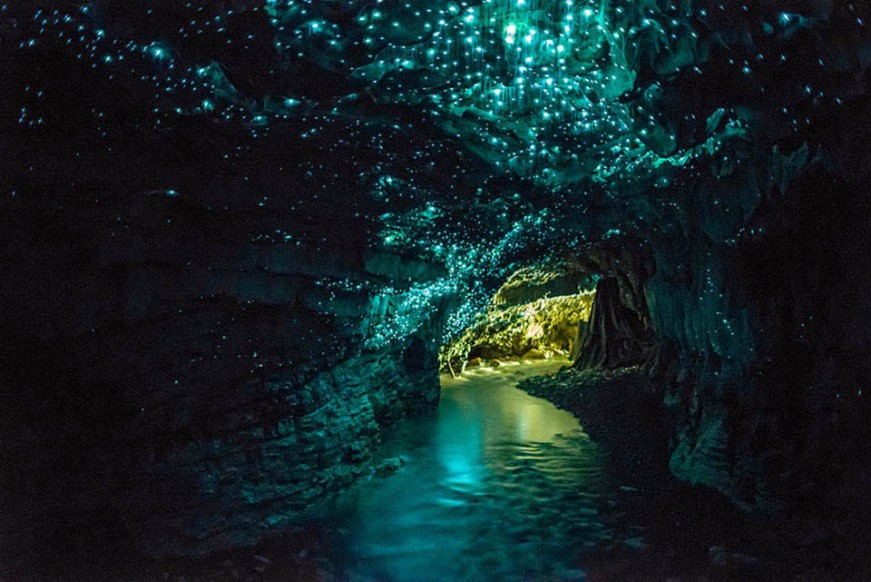 La grotte aux vers luisants de Waitomo en Nouvelle-Zélande