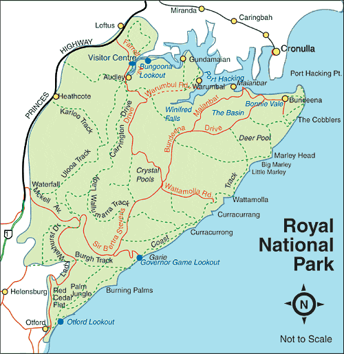 Royal National Park, Sydney