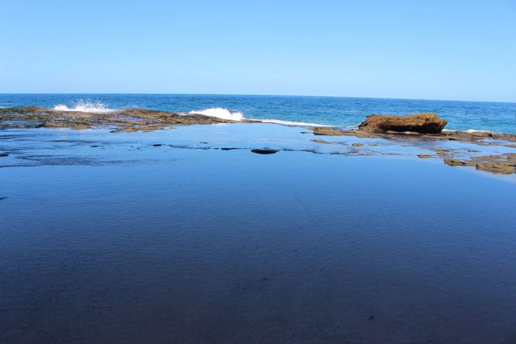 Royal National Park, Sydney