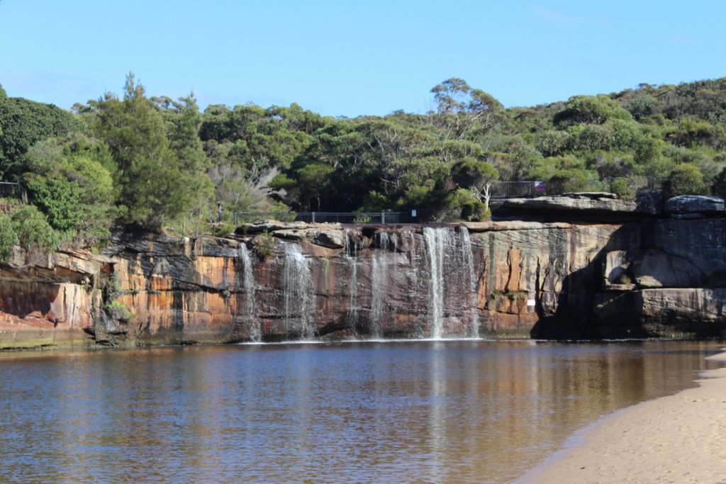 Royal National Park, Sydney