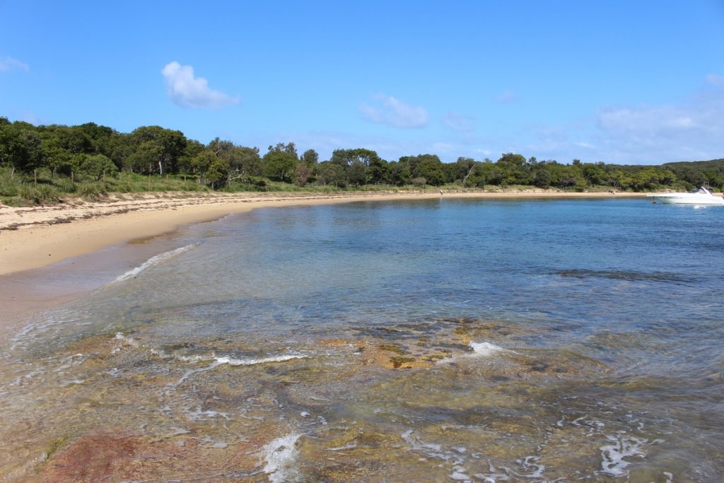 Royal National Park, Sydney