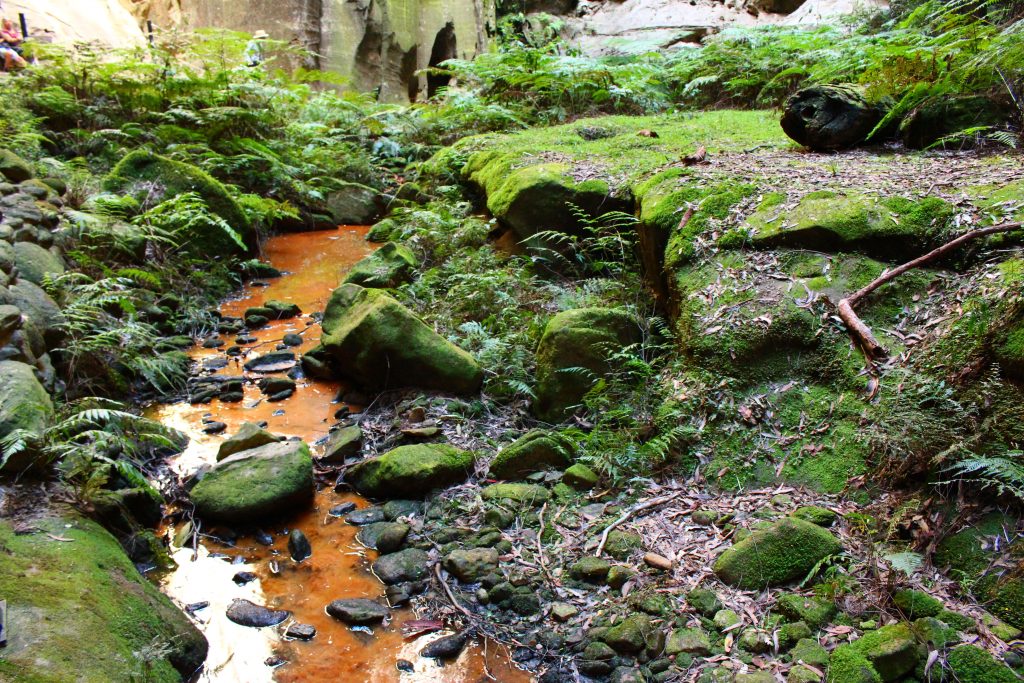 Parc national de Carnarvon