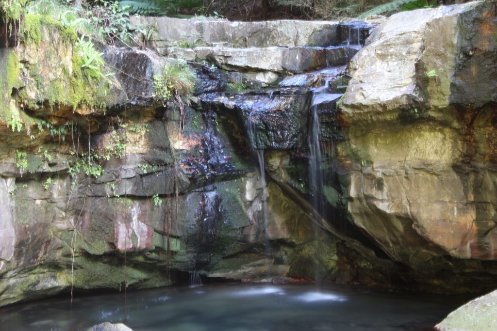 Carnavon Gorge Australie (4)