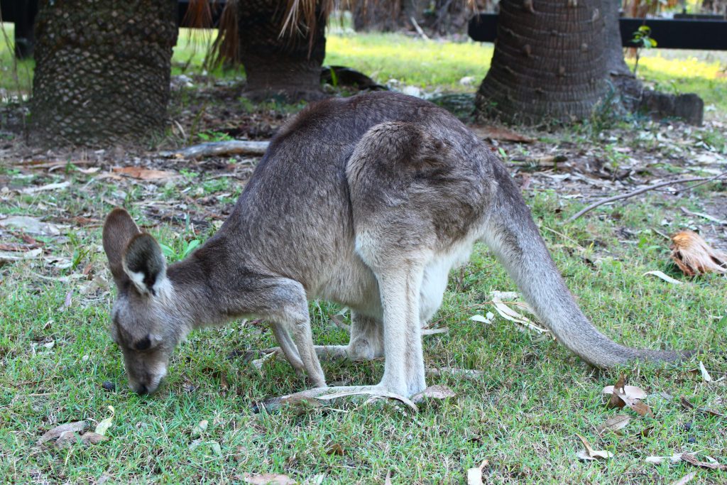 Parc national de Carnarvon