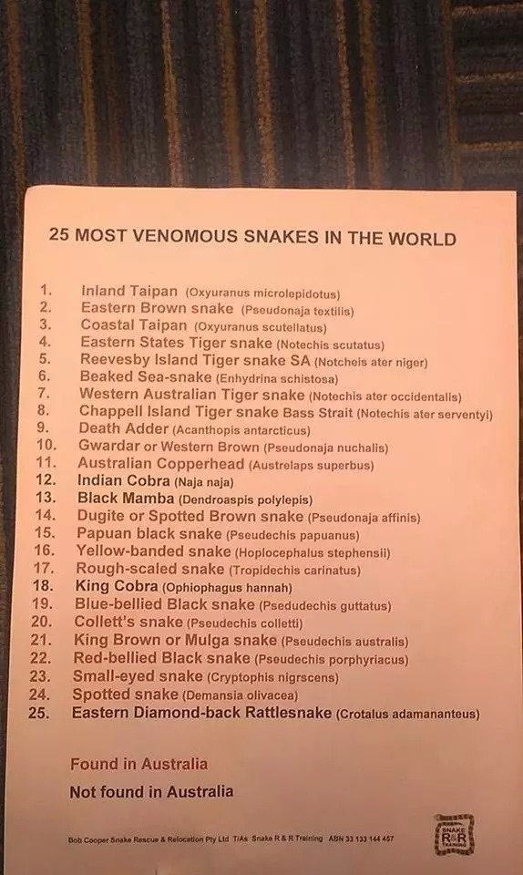 21 des 25 serpents les plus venimeux sont d'Australie