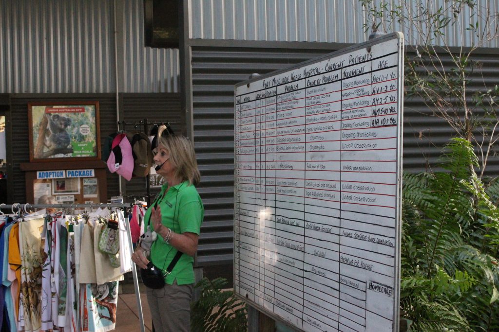 Koala Hospital Port Macquarie en Australie