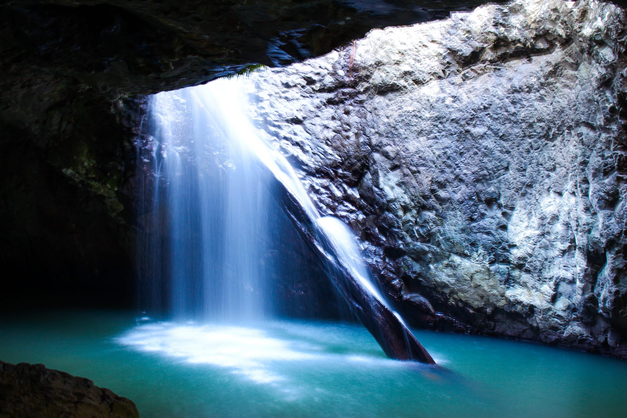 Visite du Parc National de Springbrook en Australie