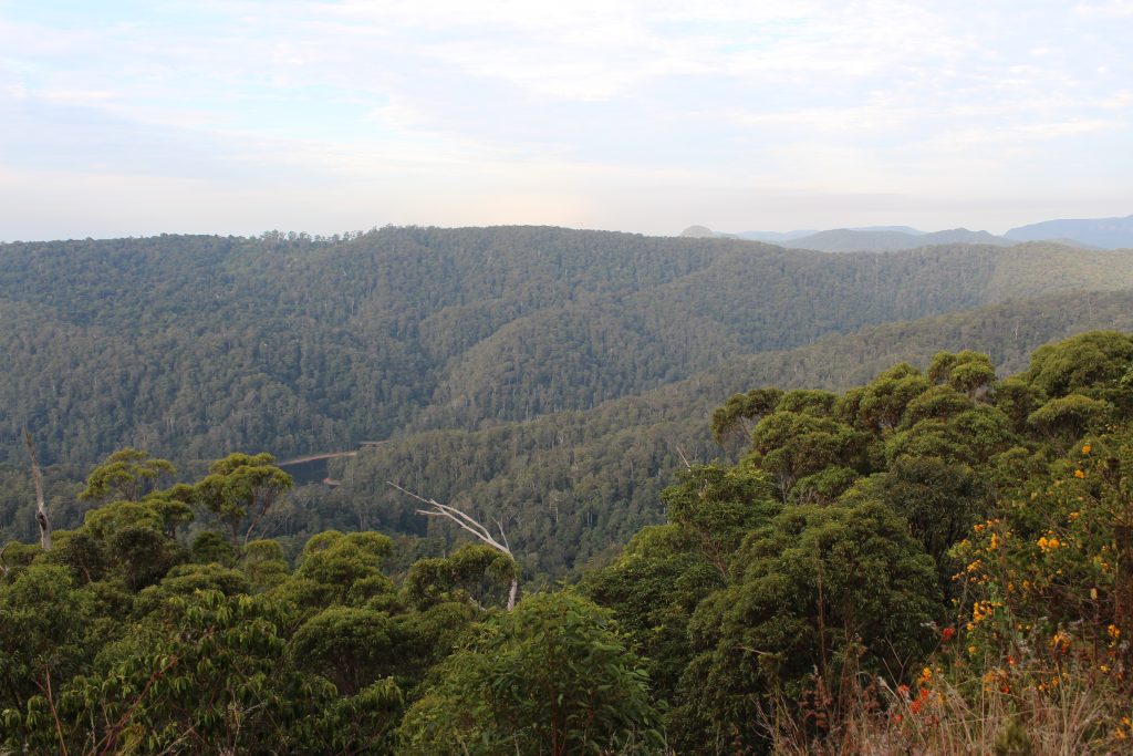 SpringBrook National Park, Australie