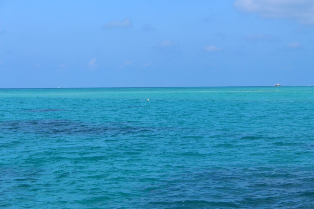 Grande Barrière de Corail Australie