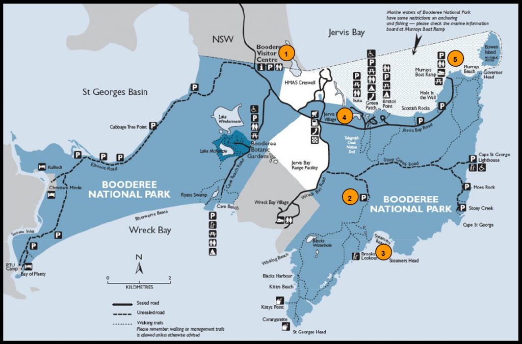 Plan pour se rendre de Paynesville à l'île aux koalas Raymond Island en ferry