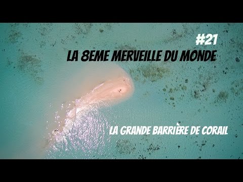 Une journée sur la Grande Barrière de Corail en Australie