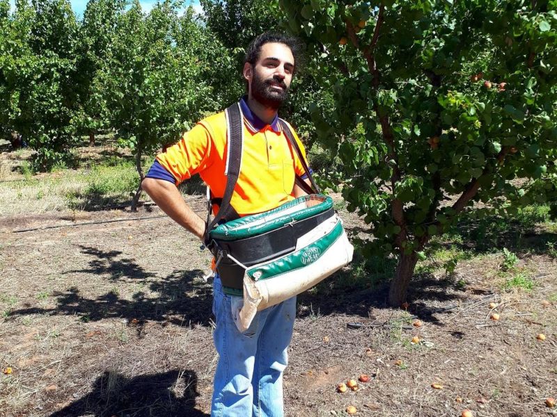 Travail en ferme AUSTRALIE 