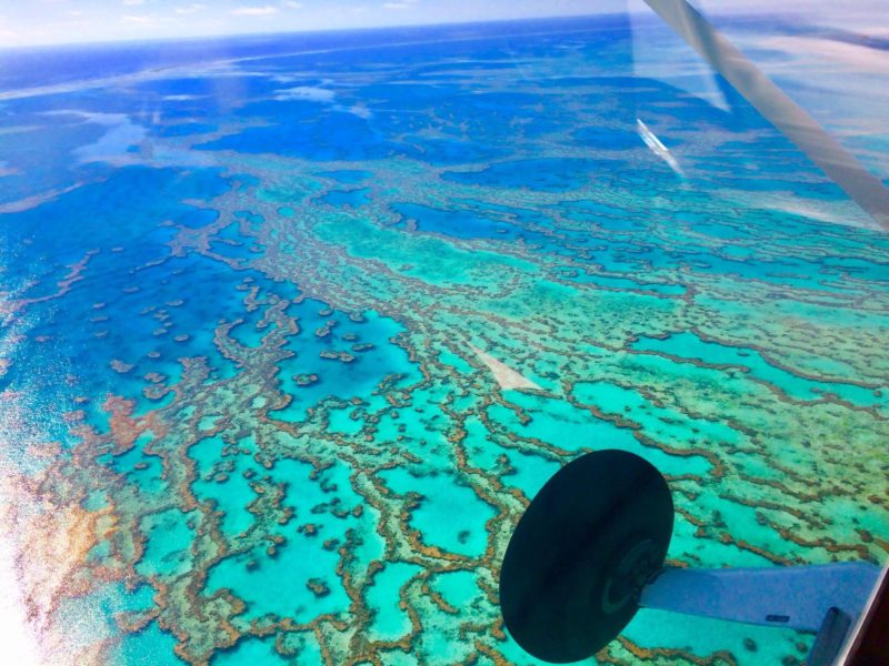 Grande bARRIÈRE DE corail Australie 