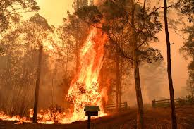 incendies Australie