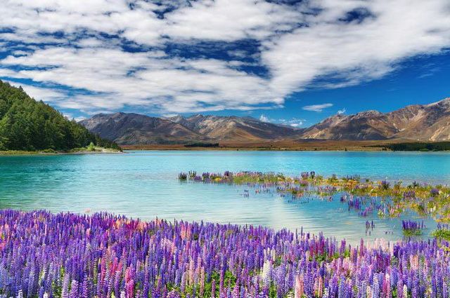 La Nouvelle-Zélande réouvre ses frontières aux touristes et backpackers en avril 2022