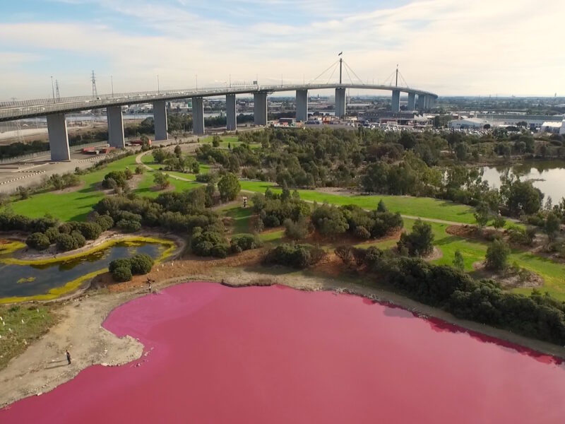 Lac rose Melbourne