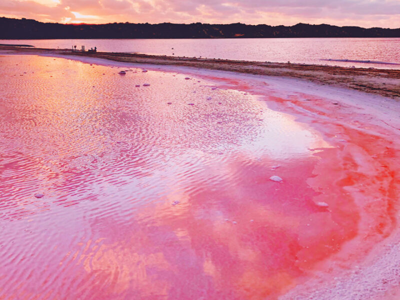 Lac rose Australie , hutt lagon